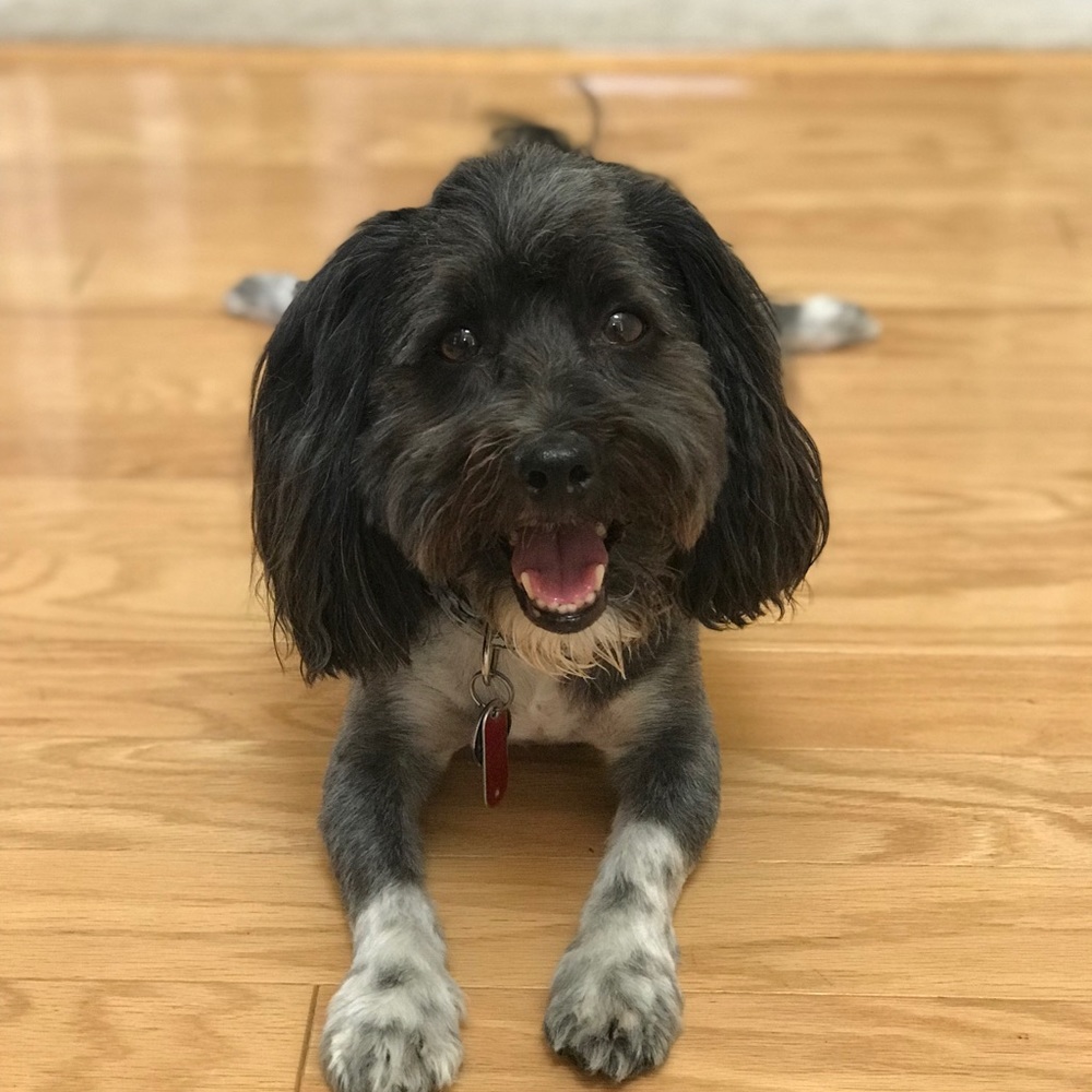 Meet your Posher, Kristi